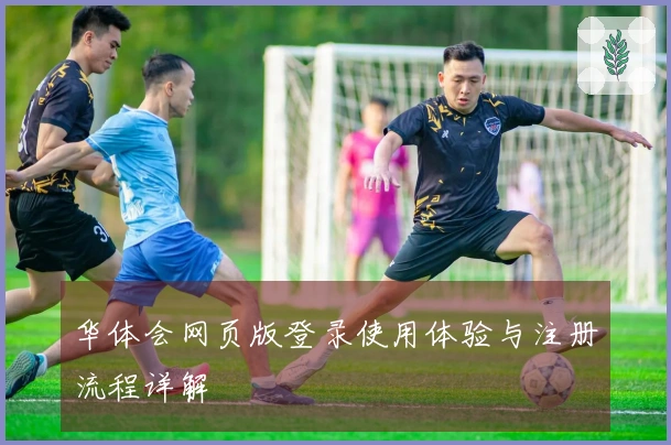 华体会网页版登录使用体验与注册流程详解